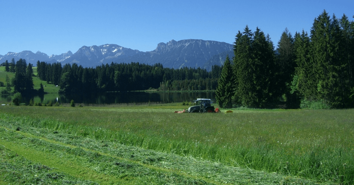 Featured Image for Use Caution for Wildlife While Cutting Hay